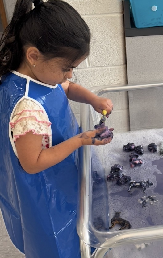 Child playing with soapy water and toy animals in a sensory table